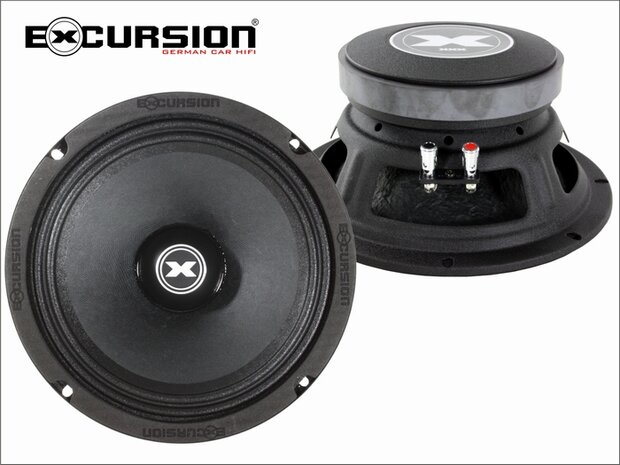 EXCURSION XXX M10 - 25cm DIN Pro Audio Midrange Set