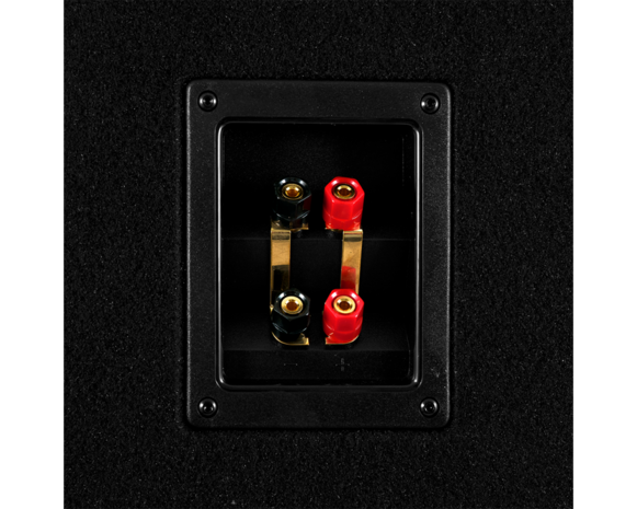 GAS MAD Level 1 Loaded enclosure 2x12&quot; GAS MAD Level 1 Loaded enclosure 2x12&quot;