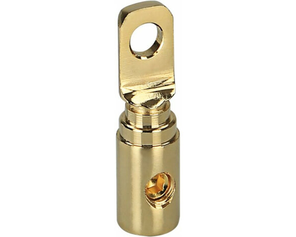 Ring kabelschoen verguld 20 mm&sup2; &gt; 8,5 mm Ring kabelschoen verguld 20 mm&sup2; &gt; 8,5 mm
