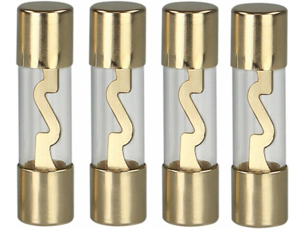 AGU zekering 40 Ampere (goud) 4 stuks in blister AGU zekering 40 Ampere (goud) 4 stuks in blister