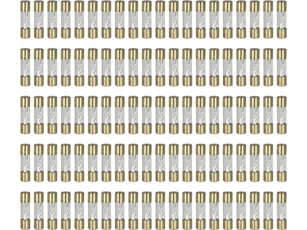 AGU zekeringen 10 amp&egrave;re (zilver) 100 stuks los AGU zekeringen 10 amp&egrave;re (zilver) 100 stuks los