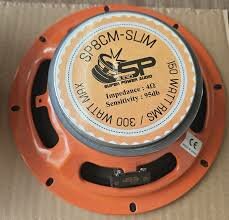 sp slim 8 inch lage inbouw diepte (150 watt rms )