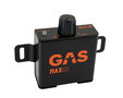 GAS MAX Level 2 Mono amplifier